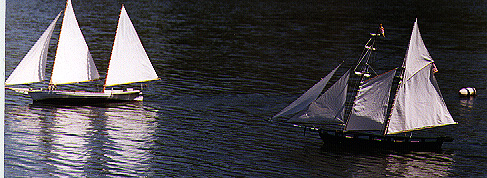 Bugeye and Lynx Tack At The Mark